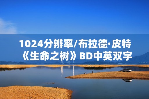 1024分辨率/布拉德·皮特《生命之树》BD中英双字