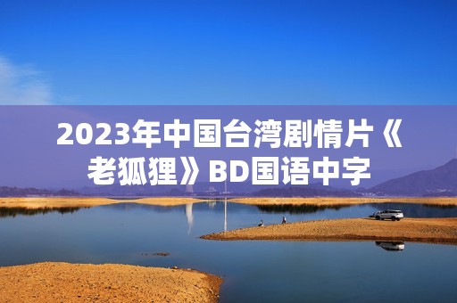 2023年中国台湾剧情片《老狐狸》BD国语中字
