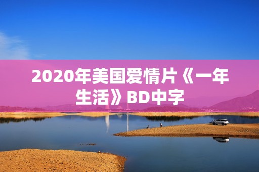 2020年美国爱情片《一年生活》BD中字