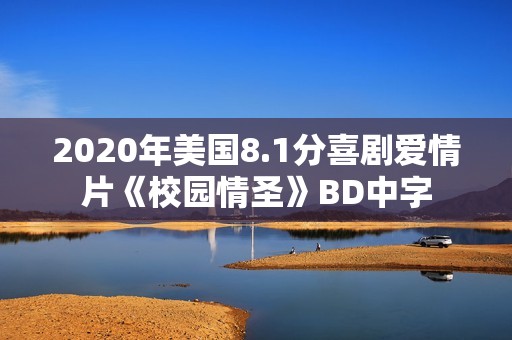 2020年美国8.1分喜剧爱情片《校园情圣》BD中字