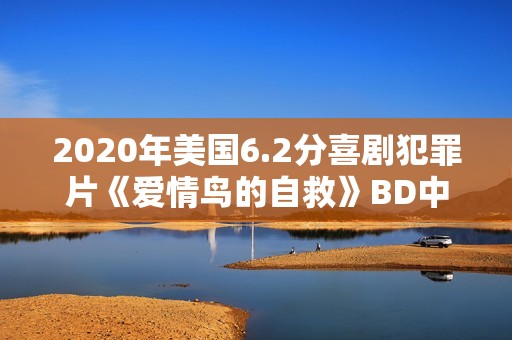 2020年美国6.2分喜剧犯罪片《爱情鸟的自救》BD中字