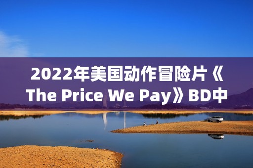 2022年美国动作冒险片《The Price We Pay》BD中英双字