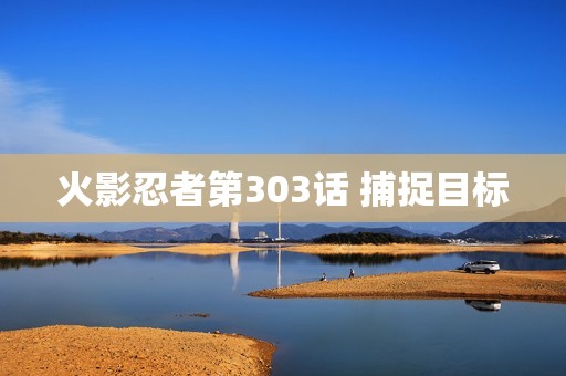 火影忍者第303话 捕捉目标