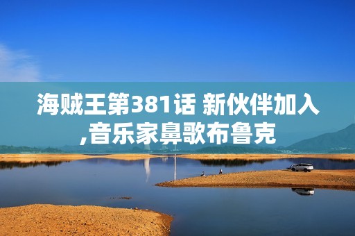 海贼王第381话 新伙伴加入,音乐家鼻歌布鲁克