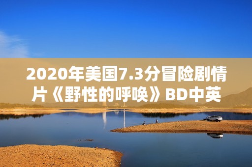 2020年美国7.3分冒险剧情片《野性的呼唤》BD中英双字