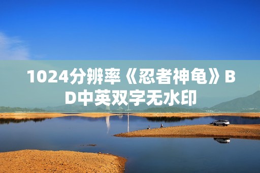 1024分辨率《忍者神龟》BD中英双字无水印