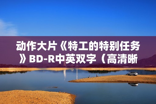 动作大片《特工的特别任务》BD-R中英双字（高清晰版）