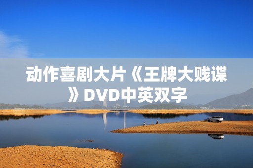 动作喜剧大片《王牌大贱谍》DVD中英双字
