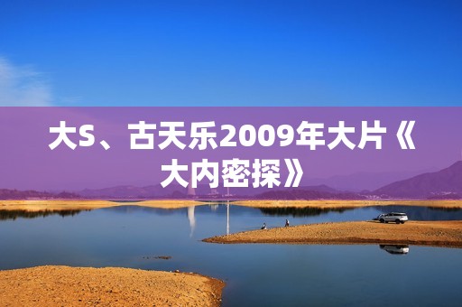 大S、古天乐2009年大片《大内密探》