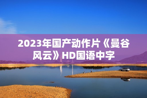 2023年国产动作片《曼谷风云》HD国语中字