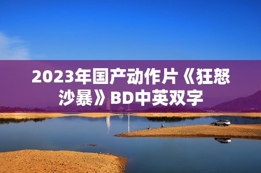 2023年国产动作片《狂怒沙暴》BD中英双字