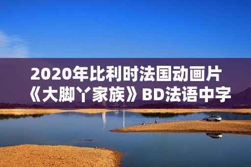2020年比利时法国动画片《大脚丫家族》BD法语中字