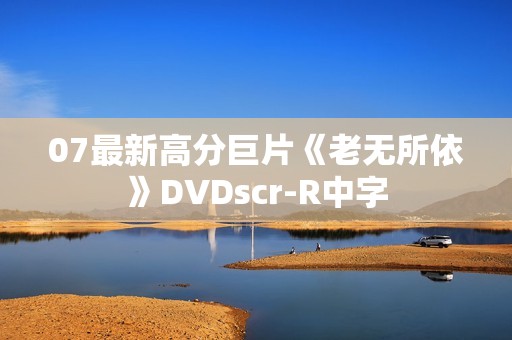 07最新高分巨片《老无所依》DVDscr-R中字