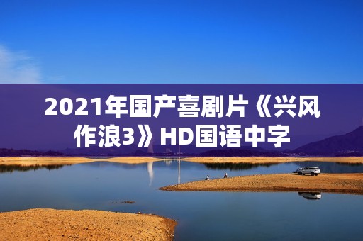 2021年国产喜剧片《兴风作浪3》HD国语中字