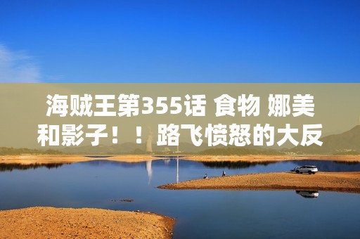 海贼王第355话 食物 娜美和影子！！路飞愤怒的大反击