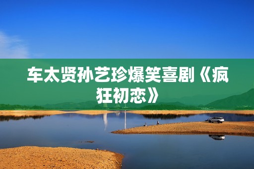 车太贤孙艺珍爆笑喜剧《疯狂初恋》