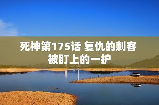 死神第175话 复仇的刺客 被盯上的一护