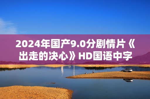 2024年国产9.0分剧情片《出走的决心》HD国语中字