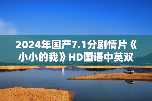 2024年国产7.1分剧情片《小小的我》HD国语中英双字