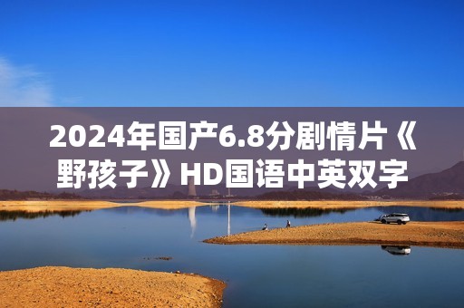 2024年国产6.8分剧情片《野孩子》HD国语中英双字