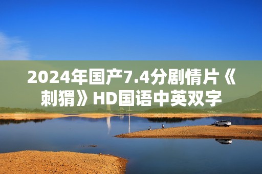 2024年国产7.4分剧情片《刺猬》HD国语中英双字