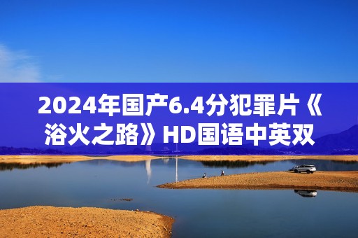2024年国产6.4分犯罪片《浴火之路》HD国语中英双字