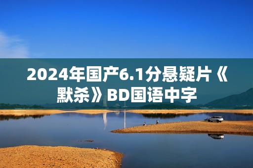 2024年国产6.1分悬疑片《默杀》BD国语中字