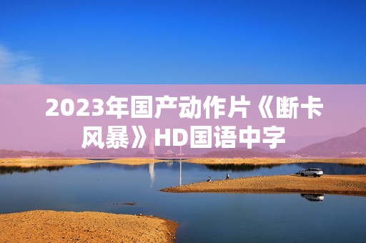 2023年国产动作片《断卡风暴》HD国语中字