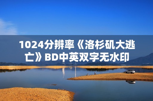 1024分辨率《洛杉矶大逃亡》BD中英双字无水印