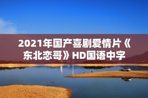 2021年国产喜剧爱情片《东北恋哥》HD国语中字