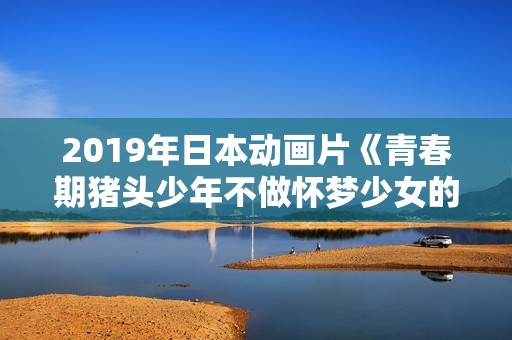2019年日本动画片《青春期猪头少年不做怀梦少女的梦》BD中字
