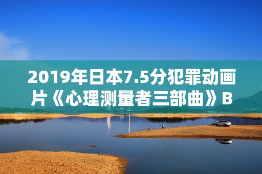 2019年日本7.5分犯罪动画片《心理测量者三部曲》BD日粤双语中字