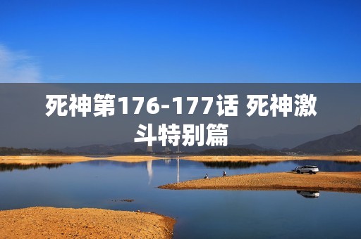 死神第176-177话 死神激斗特别篇