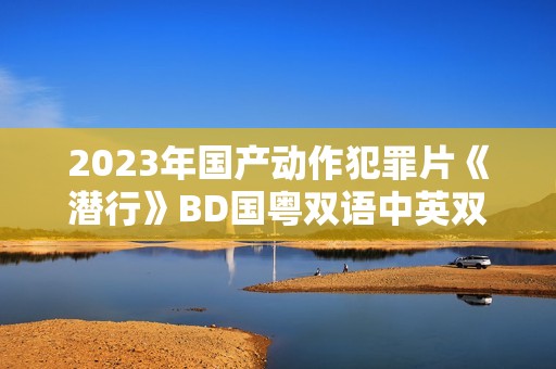 2023年国产动作犯罪片《潜行》BD国粤双语中英双字