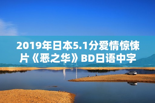 2019年日本5.1分爱情惊悚片《恶之华》BD日语中字