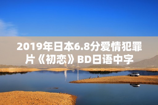 2019年日本6.8分爱情犯罪片《初恋》BD日语中字