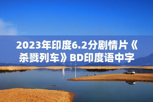 2023年印度6.2分剧情片《杀戮列车》BD印度语中字