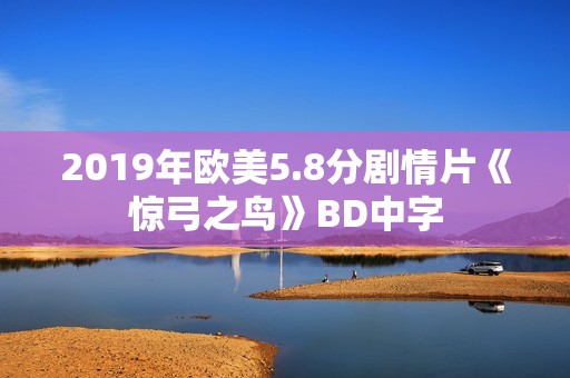 2019年欧美5.8分剧情片《惊弓之鸟》BD中字