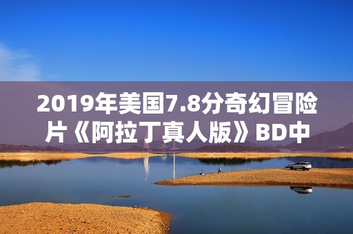 2019年美国7.8分奇幻冒险片《阿拉丁真人版》BD中英双字