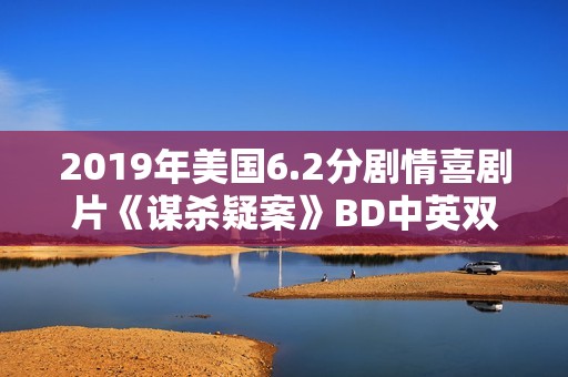 2019年美国6.2分剧情喜剧片《谋杀疑案》BD中英双字