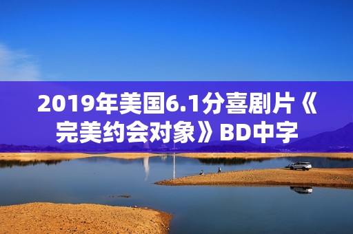 2019年美国6.1分喜剧片《完美约会对象》BD中字