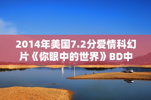 2014年美国7.2分爱情科幻片《你眼中的世界》BD中英双字