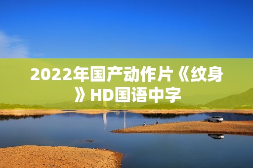 2022年国产动作片《纹身》HD国语中字