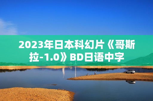 2023年日本科幻片《哥斯拉-1.0》BD日语中字