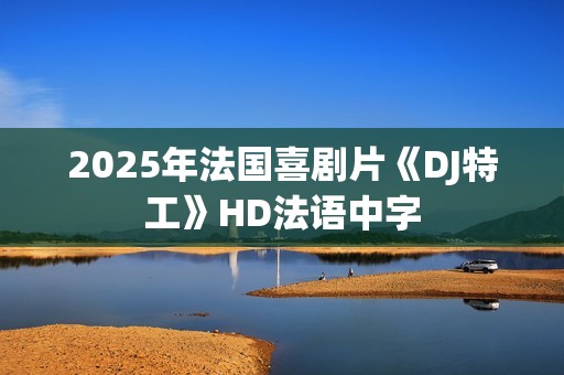 2025年法国喜剧片《DJ特工》HD法语中字