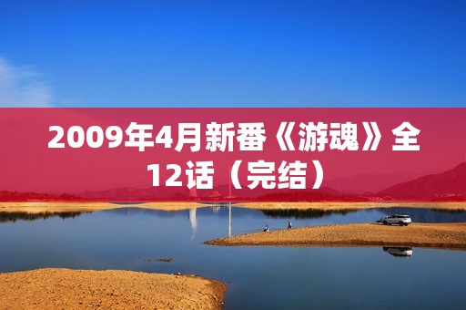 2009年4月新番《游魂》全12话（完结）
