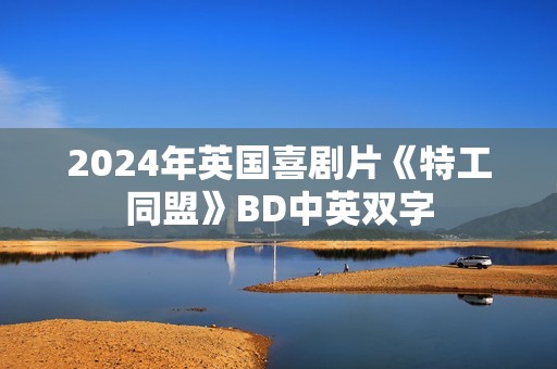 2024年英国喜剧片《特工同盟》BD中英双字