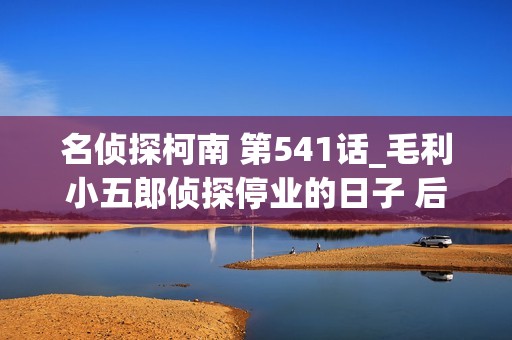 名侦探柯南 第541话_毛利小五郎侦探停业的日子 后篇