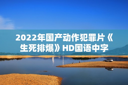 2022年国产动作犯罪片《生死排爆》HD国语中字