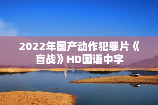 2022年国产动作犯罪片《盲战》HD国语中字